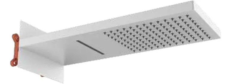 Concealed Ceiling Luxury Showers