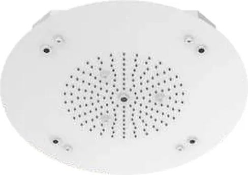 Concealed Ceiling Luxury Showers