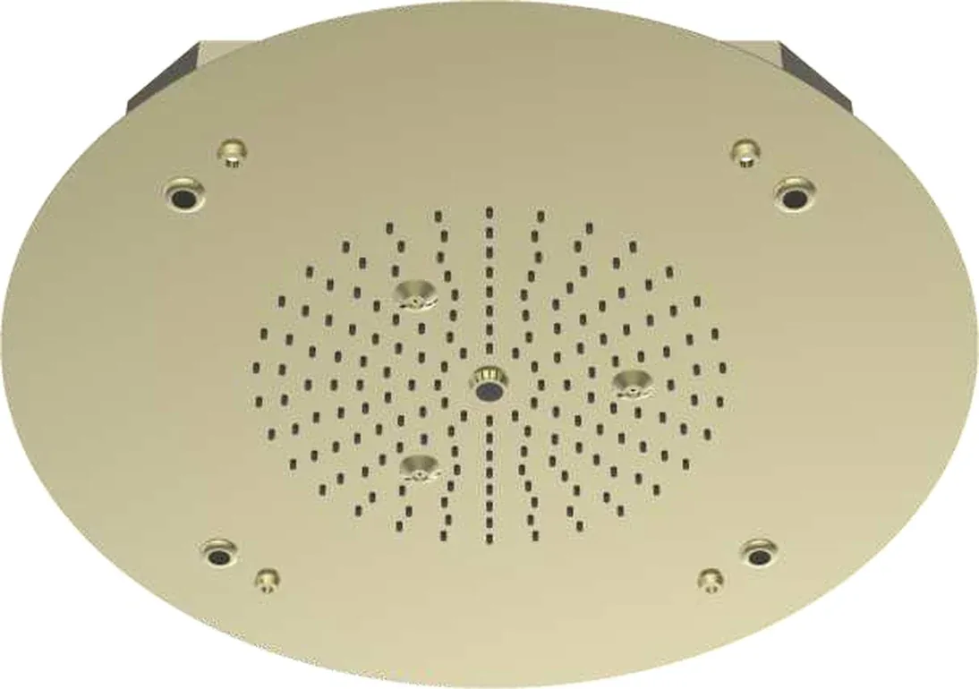 Concealed Ceiling Luxury Showers