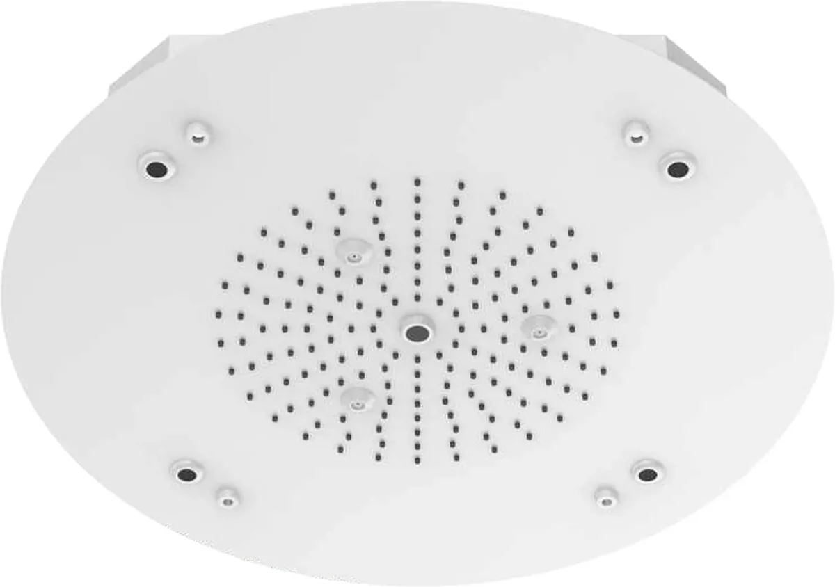 Concealed Ceiling Luxury Showers