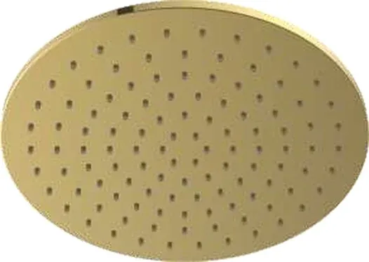 Concealed Ceiling Luxury Showers